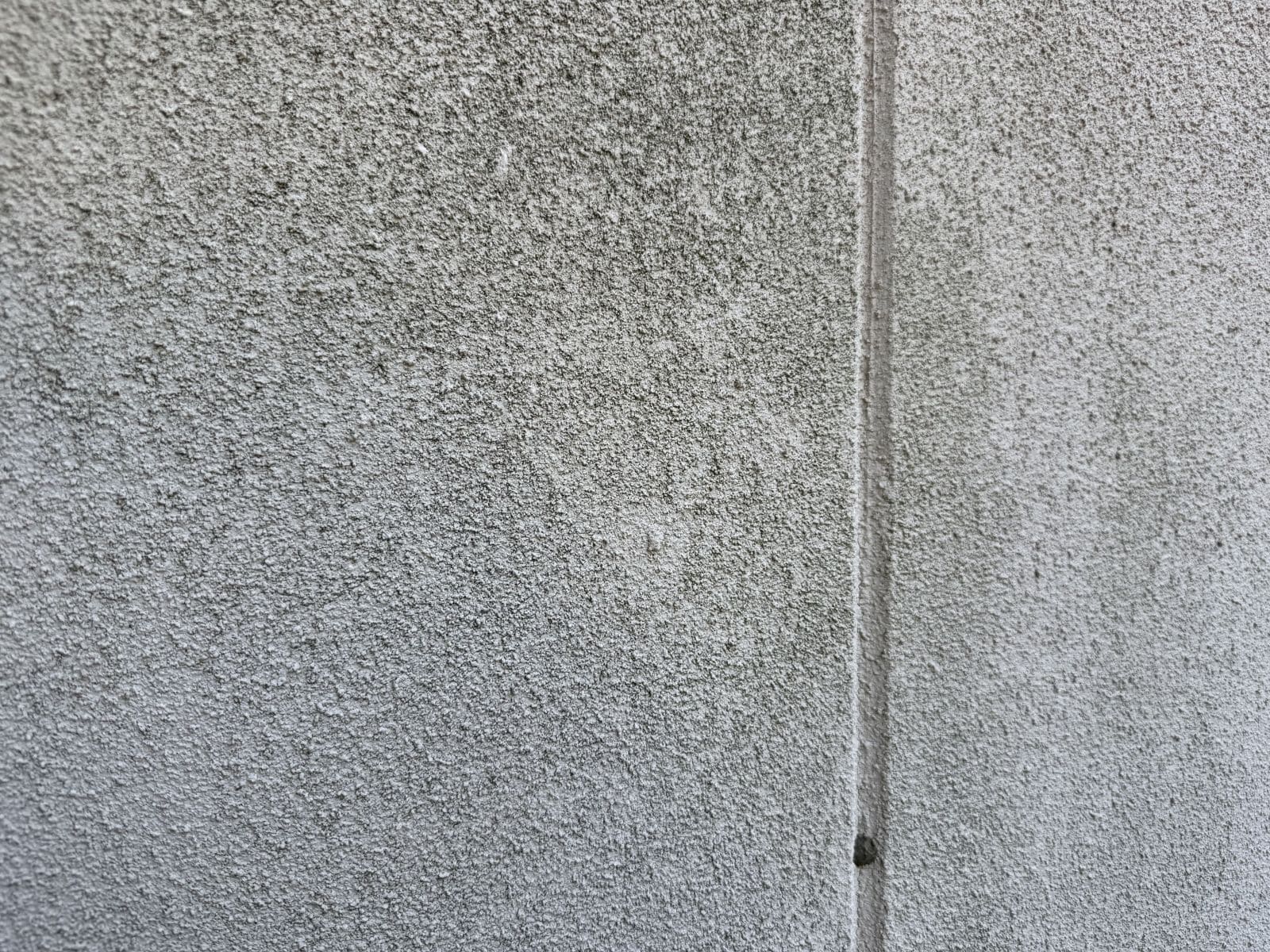 ALC外壁で確認した苔を近くから見た様子